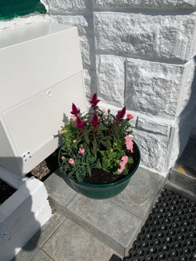 Twin Palms Guesthouse Great Yarmouth Exterior foto